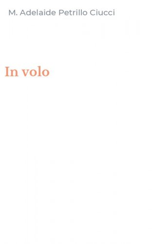 In volo