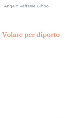 Volare per diporto