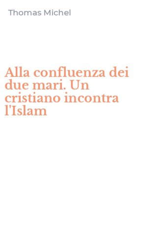 Alla confluenza dei due mari. Un cristiano incontra l'Islam