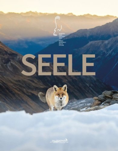 Seele-Soul
