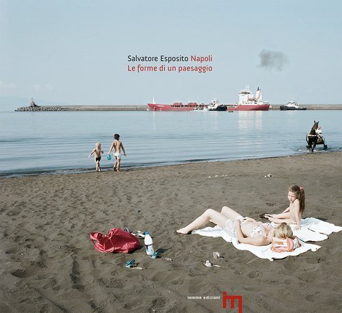 Salvatore Esposito. Napoli le forme di un paesaggio