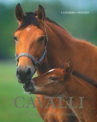 Cavalli. Razze, origini e curiosit&agrave;