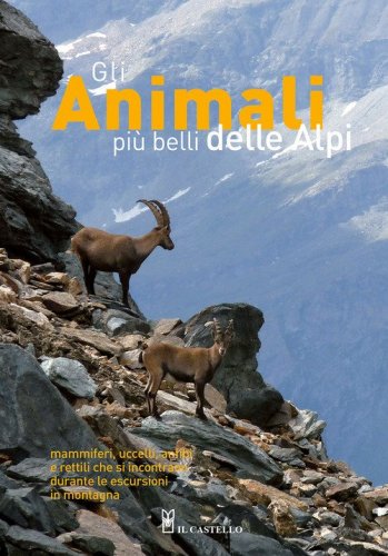 Gli animali pi&ugrave; belli delle Alpi. Mammiferi, uccelli, anfibi e rettili che si incontrano durante le escursioni in montagna