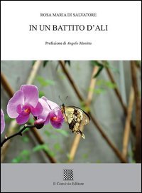 In un battito d'ali