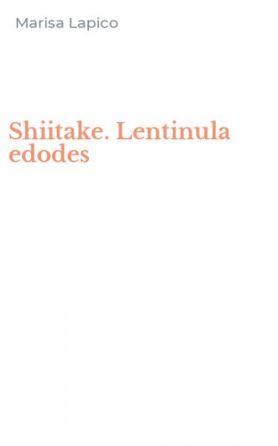 Shiitake. Lentinula edodes