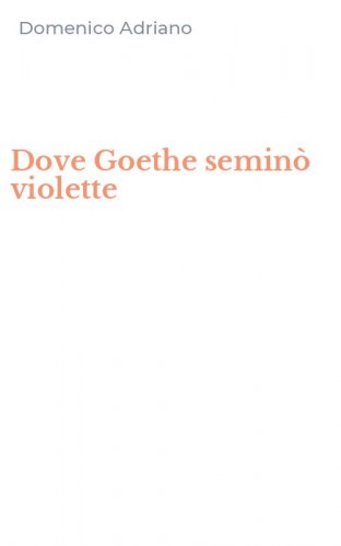 Dove Goethe semin&ograve; violette