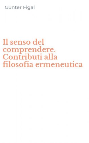 Il senso del comprendere. Contributi alla filosofia ermeneutica