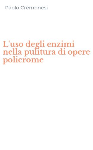 L'uso degli enzimi nella pulitura di opere policrome