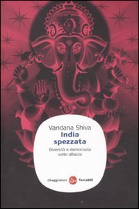 India spezzata. Diversit&agrave; e democrazia sotto attacco