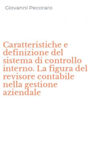 Caratteristiche e definizione del sistema di controllo interno. La figura del revisore contabile nella gestione aziendale
