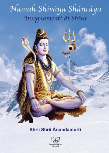 Namah Shiv&aacute;ya Sh&aacute;nt&aacute;ya. Insegnamenti di Shiva