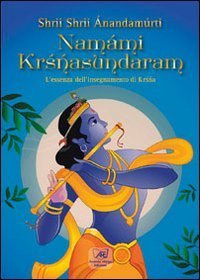 Nam&aacute;mi Krisnasundaram. L'essenza dell'insegnamento di Krisnasunbdaram