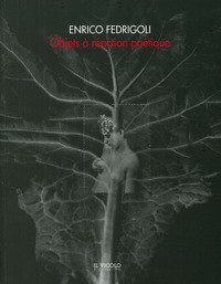 Enrico Fedrigoli. Objects &agrave; r&eacute;action po&eacute;tique