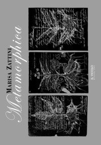 Marisa Zattini. Metamorphica. Catalogo della mostra