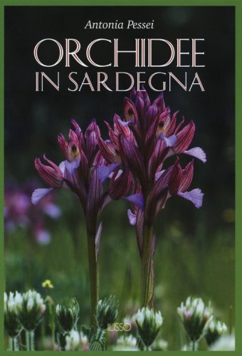 Orchidee in Sardegna
