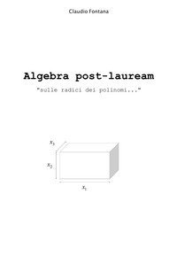 Algebra post-lauream &laquo;sulle radici dei polinomi...&raquo;