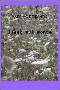 Lass&ugrave; sul monte
