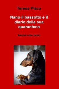 Nano il bassotto e il diario della sua quarantena. #andr&agrave; tutto bene!