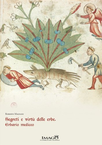 Segreti e virt&ugrave; delle erbe. Erbario mediceo. Redi 165
