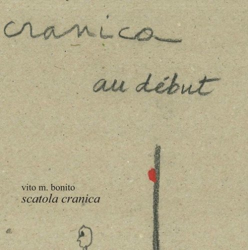 Scatola cranica