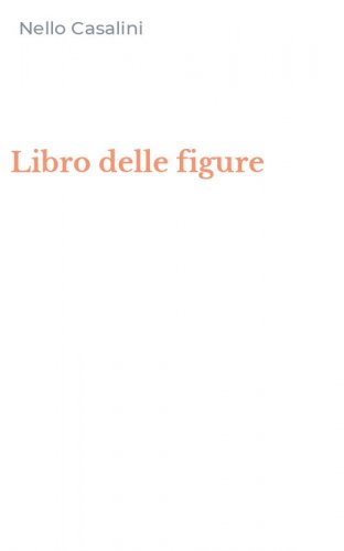 Libro delle figure