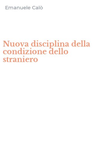 Nuova disciplina della condizione dello straniero