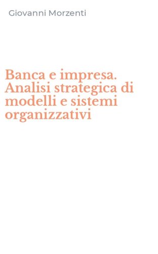 Banca e impresa. Analisi strategica di modelli e sistemi organizzativi