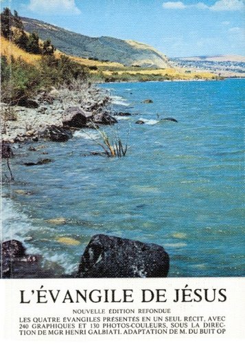 L'&eacute;vangile de J&eacute;sus
