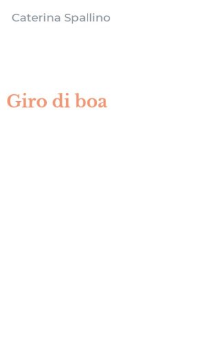 Giro di boa