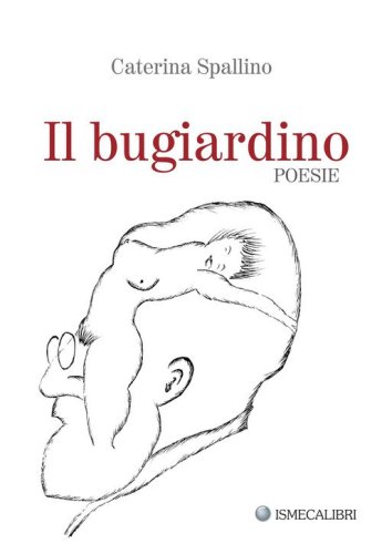 Il bugiardino