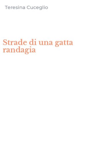 Strade di una gatta randagia