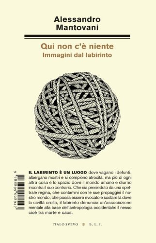 Qui non c'&egrave; niente. Immagini dal labirinto