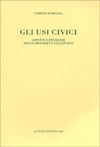 Gli usi civici. Aspetti e problemi delle propriet&agrave; collettive