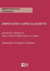 Imputato Caino alzatevi! Genesi e cronaca dell'unico processo a Caino
