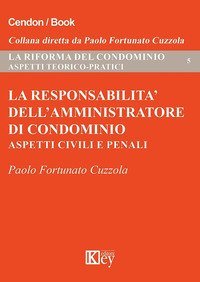La responsabilit&agrave; dell'amministratore di condominio. Aspetti civili e penali