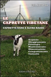 Le caprette tibetane. Le caprette nane e altre razze