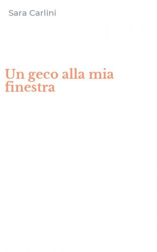 Un geco alla mia finestra