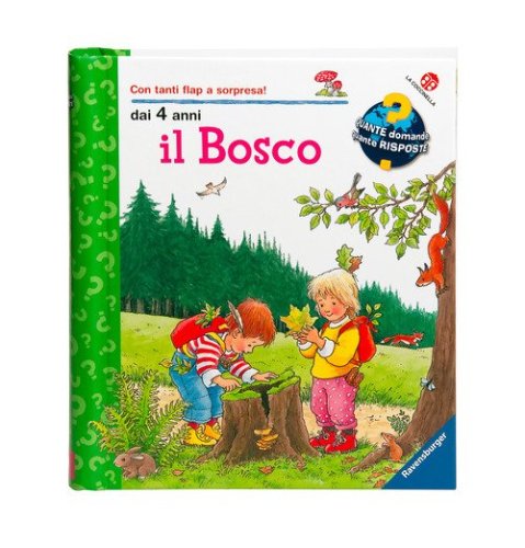 Il bosco