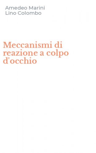 Meccanismi di reazione a colpo d'occhio