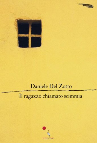 Il ragazzo chiamato scimmia