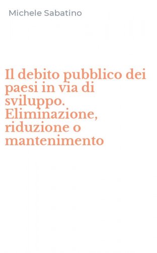 Il debito pubblico dei paesi in via di sviluppo. Eliminazione, riduzione o mantenimento