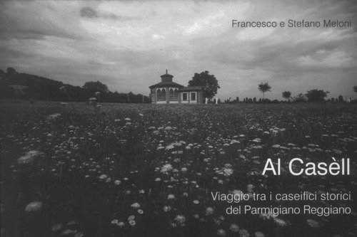 Al Cas&egrave;ll. Viaggio tra i caseifici storici del Parmigiano Reggiano