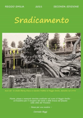 Sradicamento. Piante, piazze e memorie storiche sradicate nel cuore di Reggio Emilia