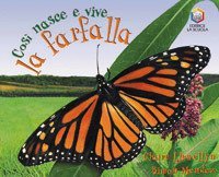 Cos&igrave; nasce e vive la farfalla