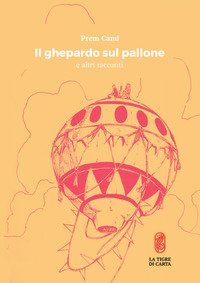 Il ghepardo sul pallone e altri racconti