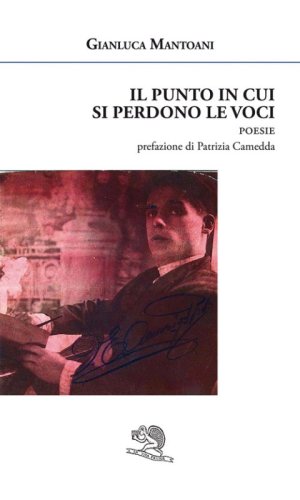 Il punto in cui si perdono le voci