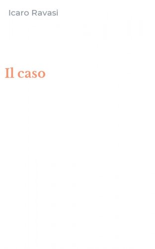 Il caso