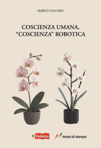 Coscienza umana, &laquo;coscienza&raquo; robotica