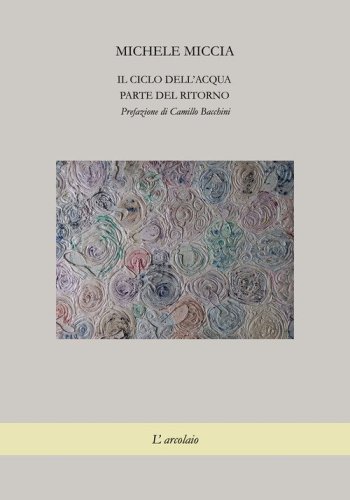 Il ciclo dell'acqua. Parte del ritorno