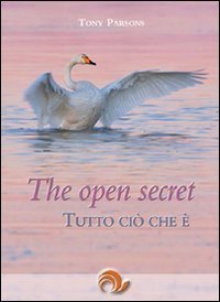 The open secret. Tutto ci&ograve; che &egrave;